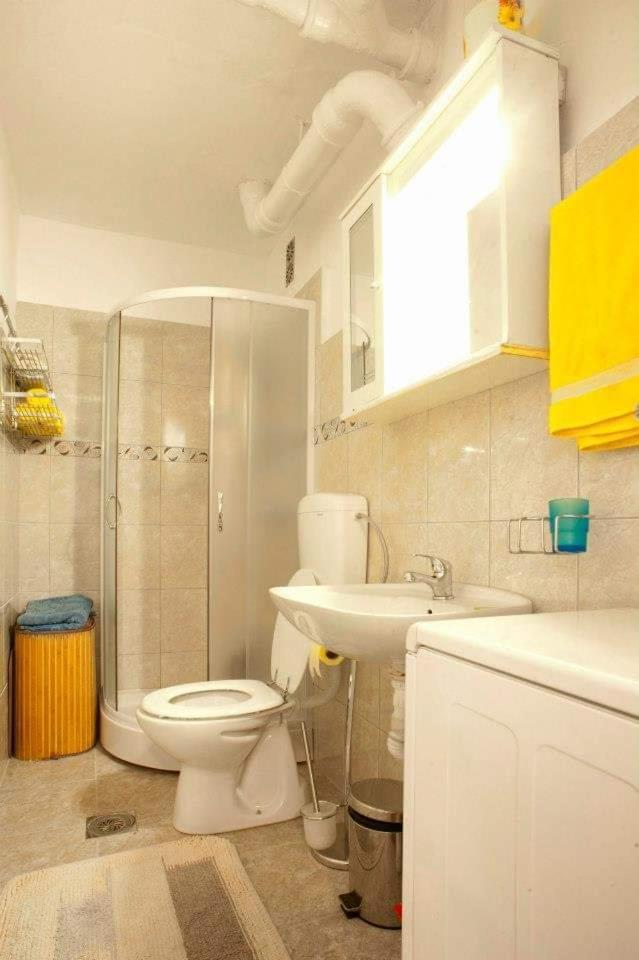 Apartments Aleksandar Petrovac Bilik gambar